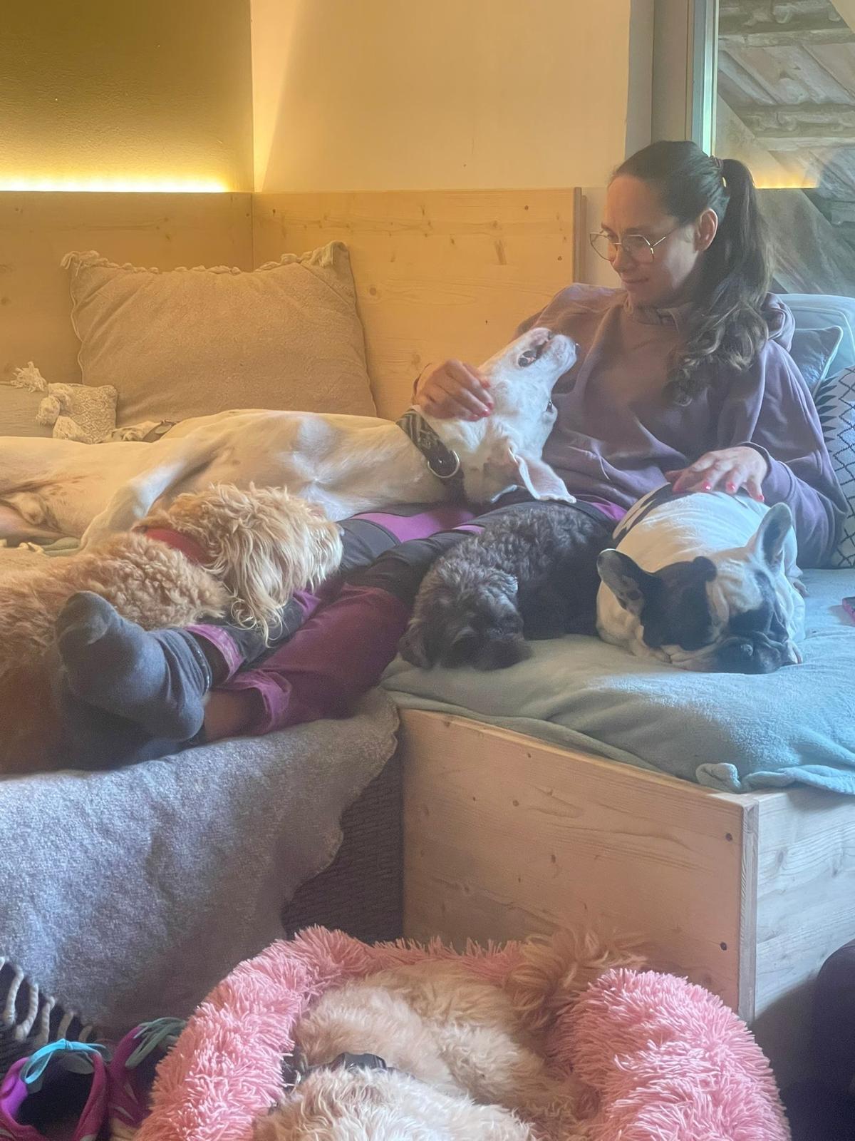 Gemütliche Ruhepause mit den Hunden