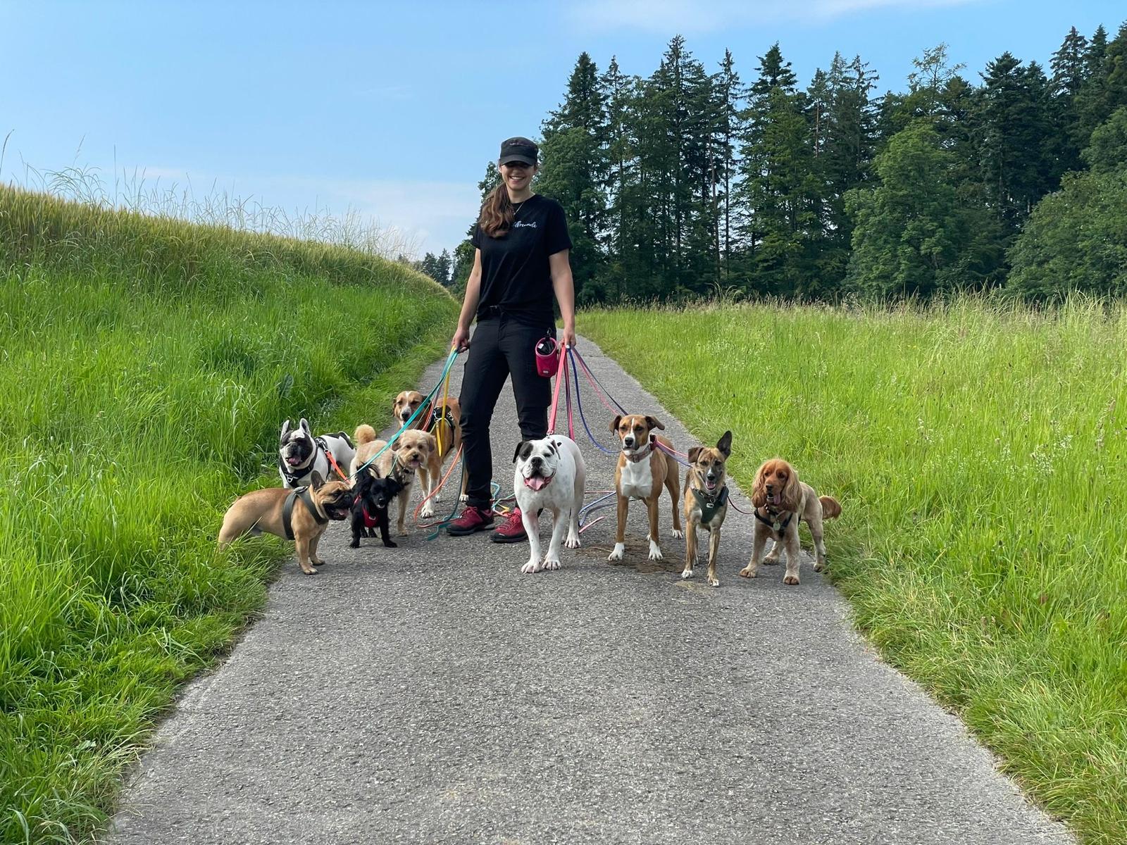 Gruppenspaziergang im Sommer