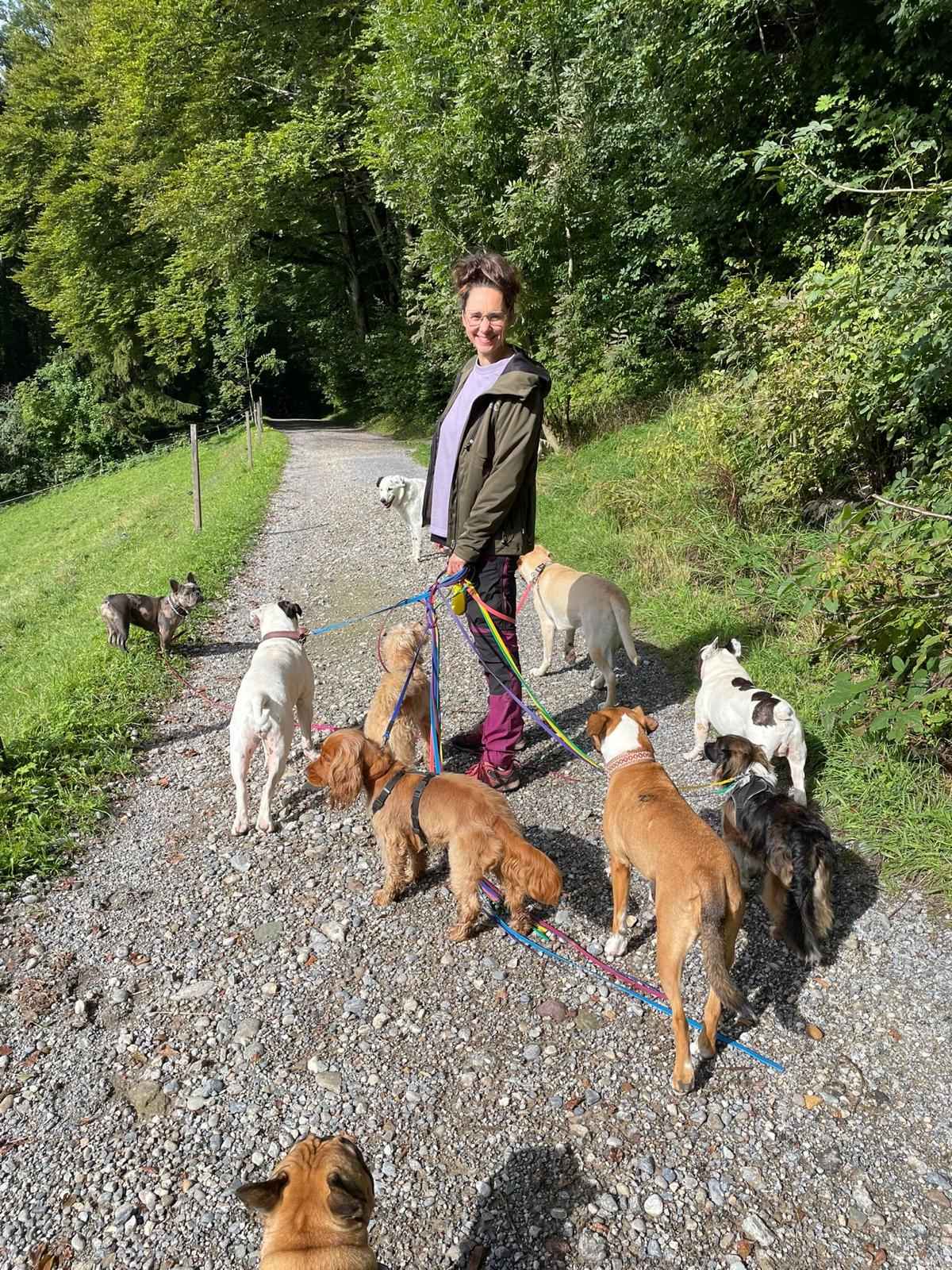 Spaziergang im Wald