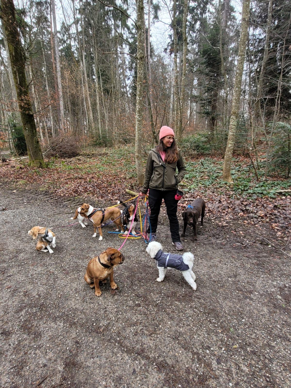 Winterspaziergang mit Hunden