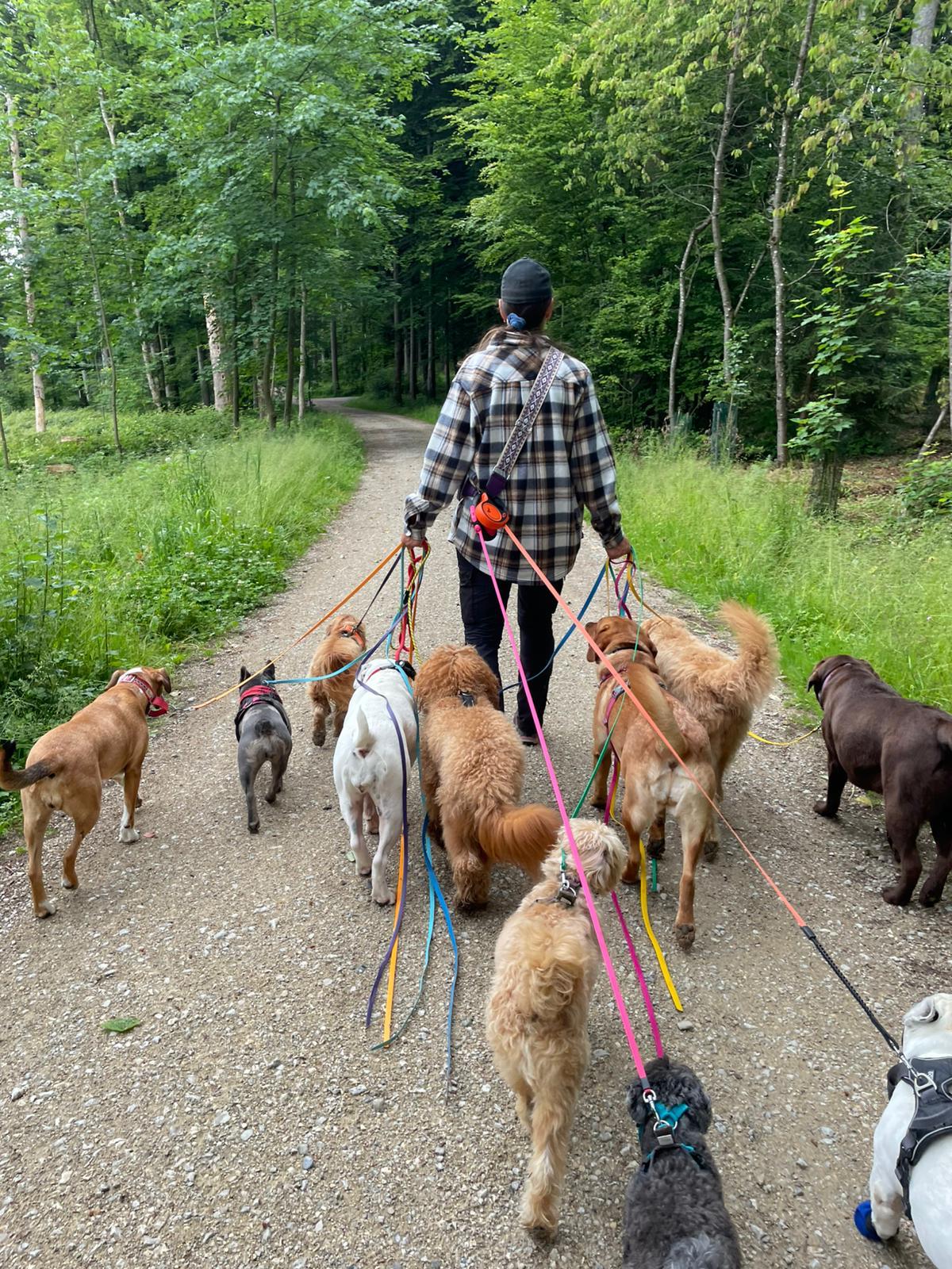 Mit der Gruppe durch den Wald