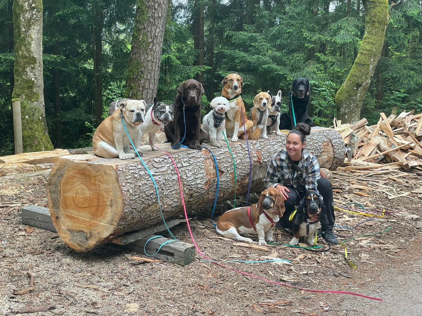 Isabel mit Hunden auf Baumstämmen