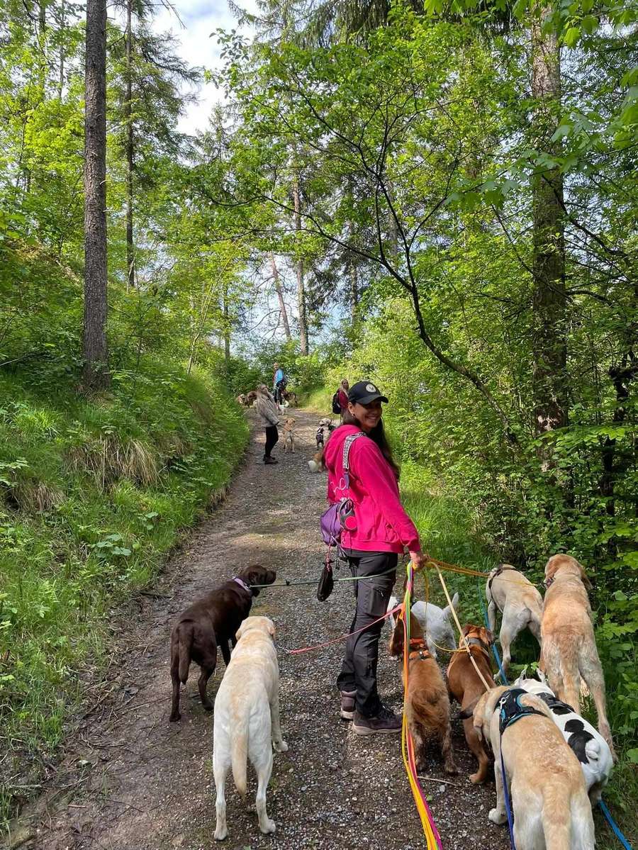 Gruppenspaziergang im Wald