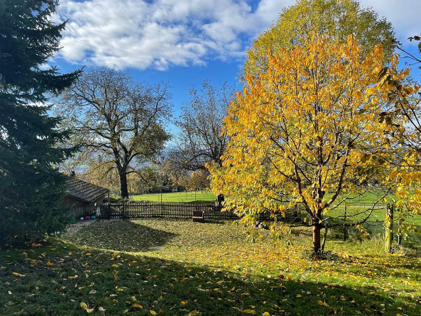 Herbst-Freilaufgehege