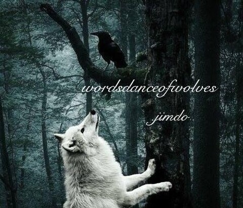 Zitate Words Dance Of Wolves