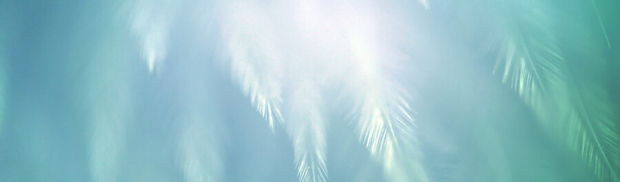 成人式 振袖フルセット レンタル 男子紋付袴フルセット 七五三 卒業式 袴 留袖 モーニング 卒業式袴 お祝い着 礼服 キャンペーン Miyuki Rentaru 着物レンタルのことならレンタル衣裳 美ゆき 成人式 卒業式 七五三などすべてフルセットレンタル