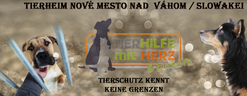 Herzlich Willkommen bei der Tierhilfe mit Herz und Einsatz schön,am besten verkaufen Stiefel tierschutz