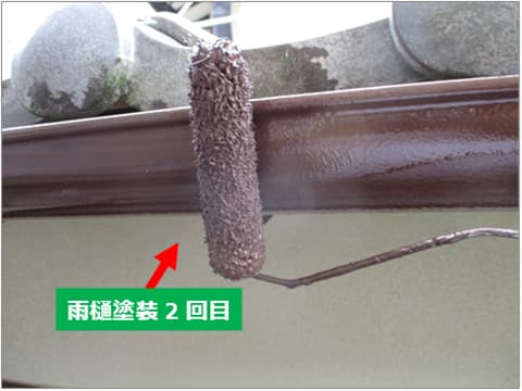 戸建て住宅の雨樋に上塗り塗料を塗装している状況