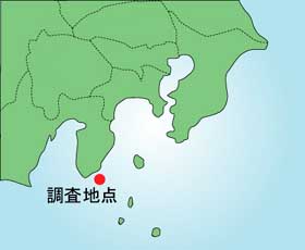 地図画像