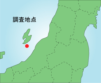 地図画像