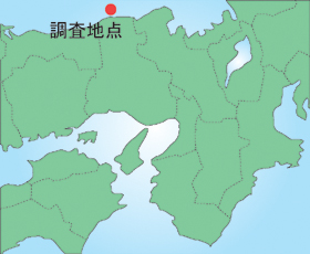 地図画像
