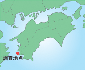 地図画像