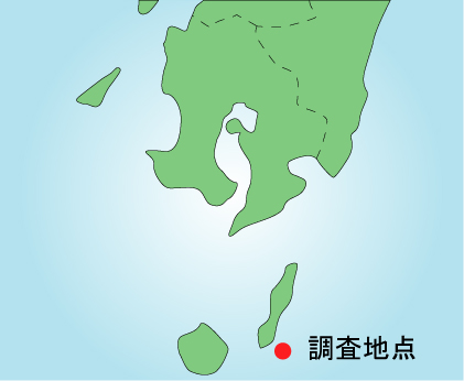 地図画像