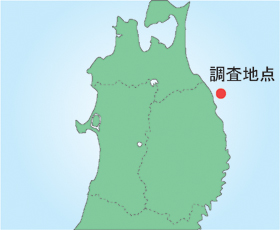 地図画像