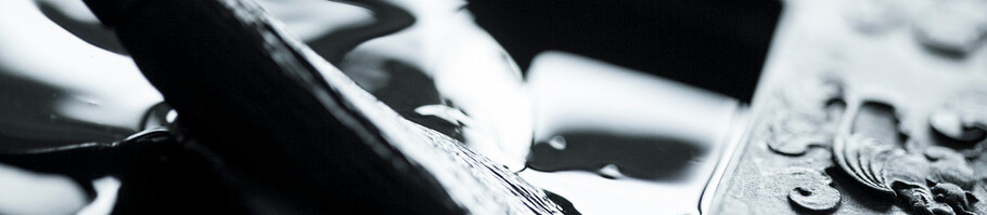 プロフィール - 種家杉晃主宰－青伸書道会