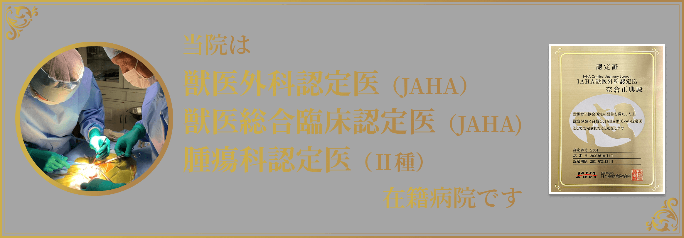 当院は、獣医外科認定医（JAHA）、獣医総合臨床認定医（JAHA)、腫瘍科認定医（Ⅱ種）在籍病院です