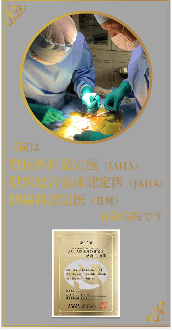 当院は、獣医外科認定医（JAHA）、獣医総合臨床認定医（JAHA)、腫瘍科認定医（Ⅱ種）在籍病院です