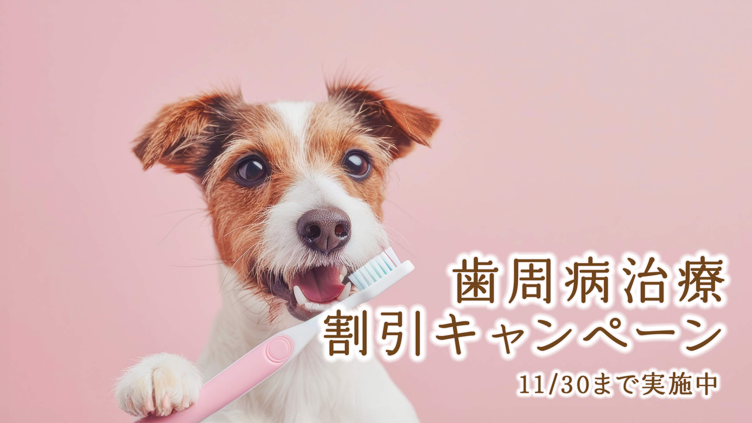 歯周病治療割引キャンペーン　11月30日まで実施中