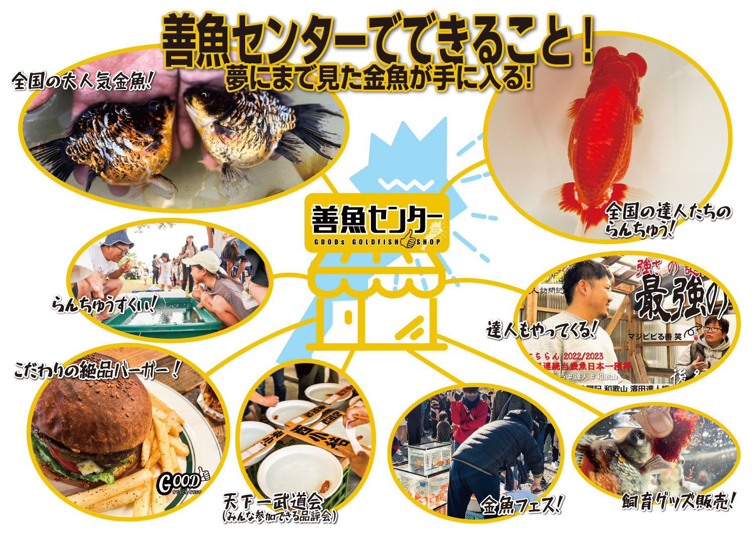 善金魚センターの楽しさ