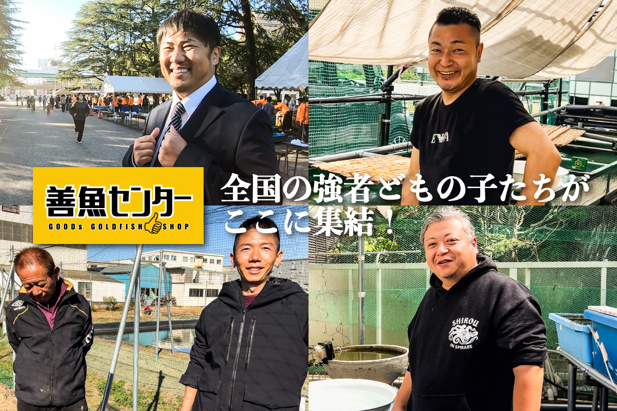 金魚師紹介