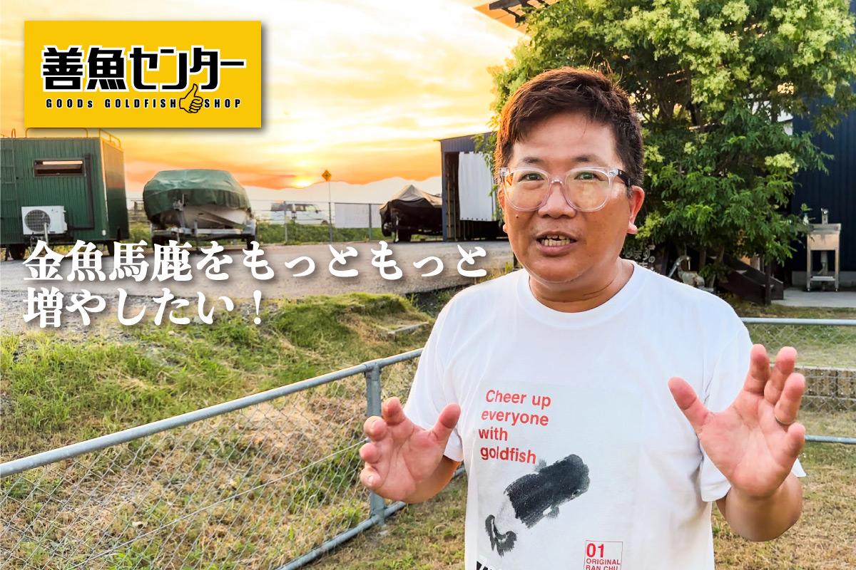 善金魚センターの目的
