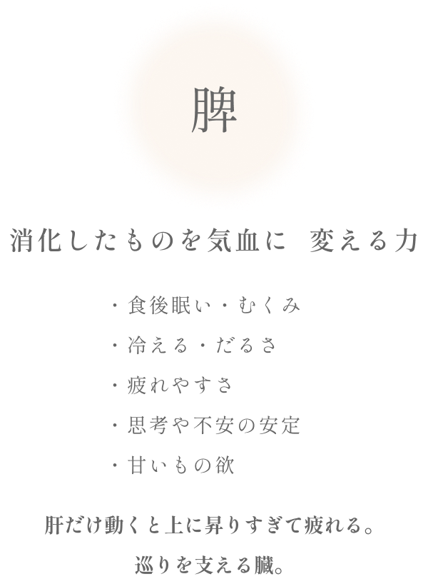脾　支える（安定）　おへそ周り・左腹・太もも内