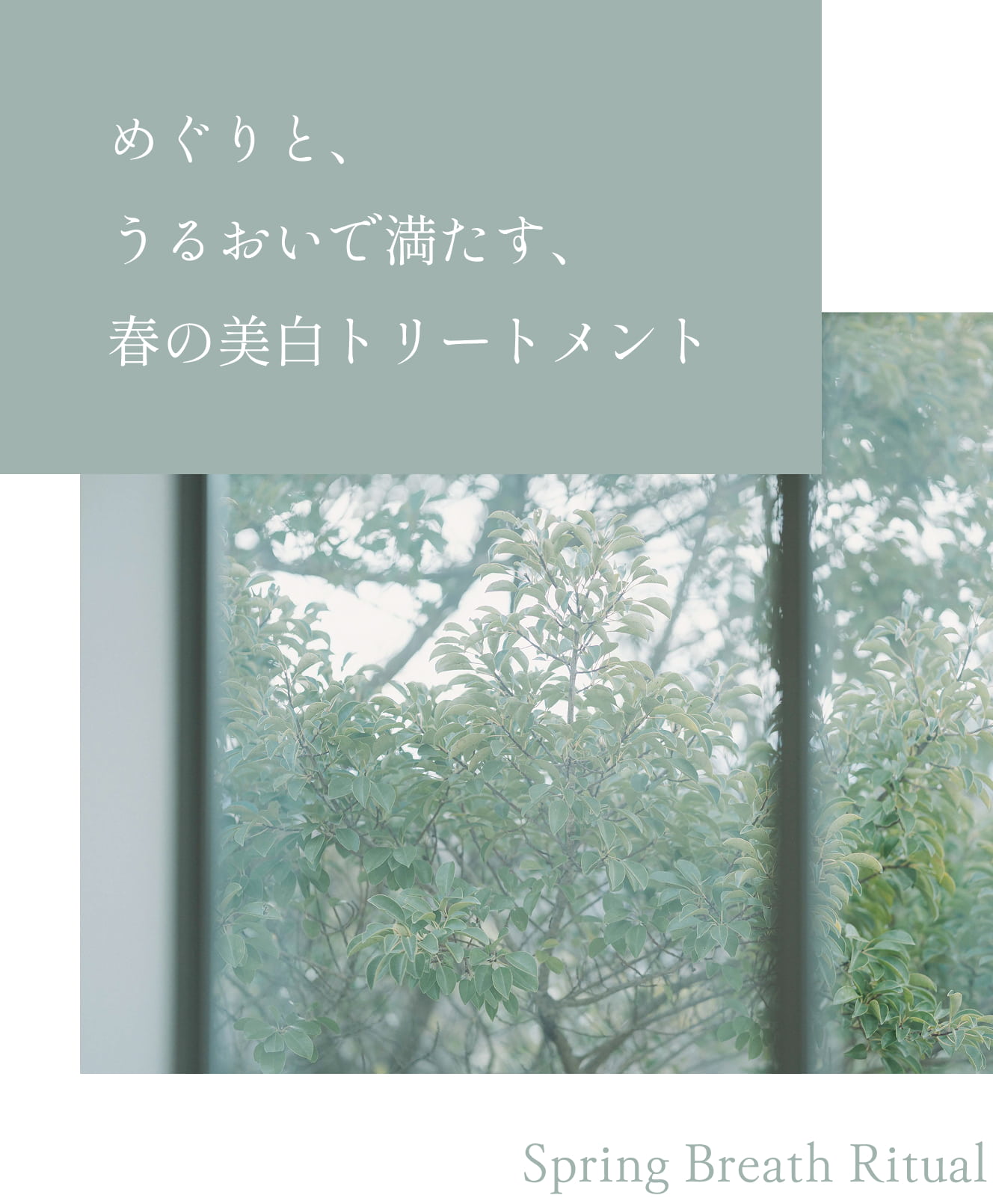 めぐりと、うるおいで満たす、春の美白トリートメント