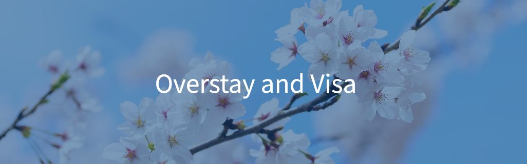 Overstay and Visa