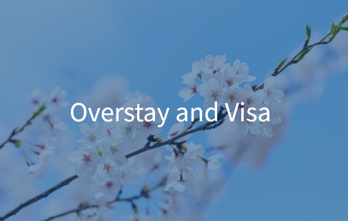 Overstay and Visa