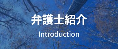 弁護士紹介 Introduction