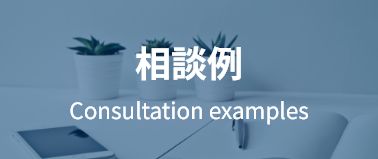 相談例 Consultation examples