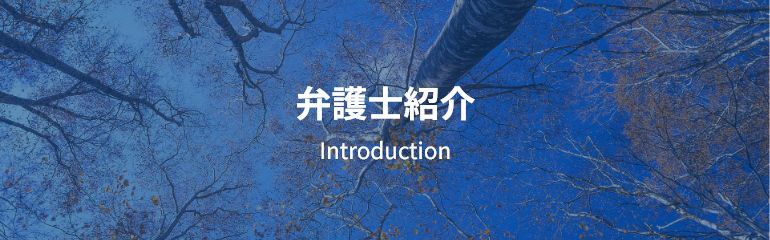 弁護士紹介 Introduction
