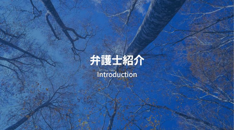 弁護士紹介 Introduction