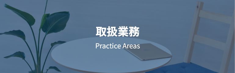 取扱業務 Practice Areas
