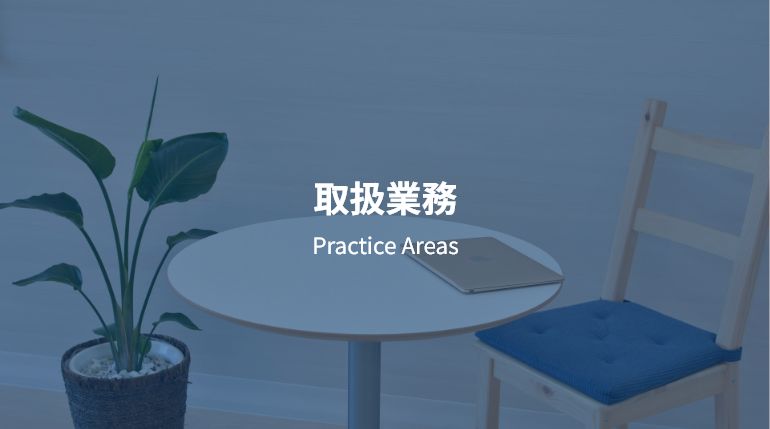 取扱業務 Practice Areas