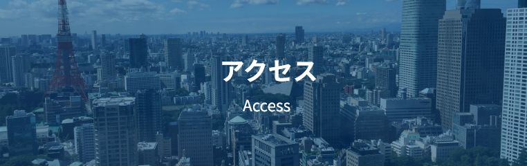 アクセス Access
