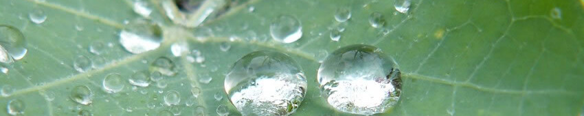 親鸞聖人越後七不思議の集印済の絹地です、絵は山口邦人画、送料無料です 親鸞聖人越後七不思議の集印済の絹地です、絵は山口邦人