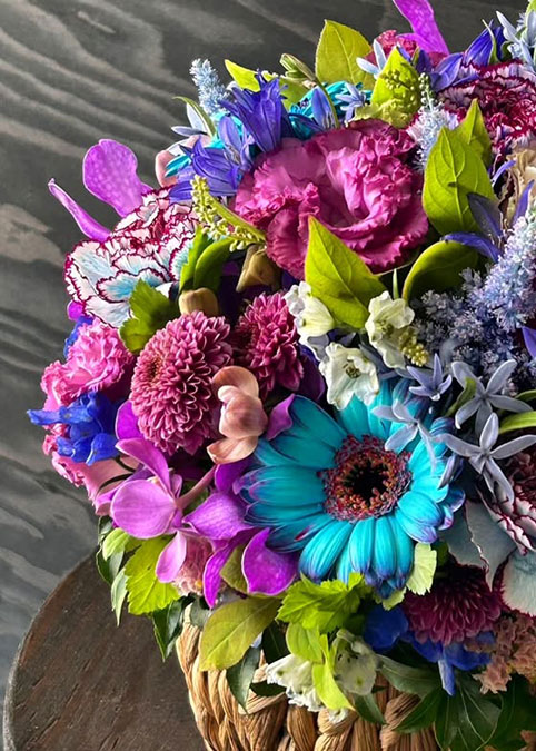 お花の写真2