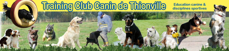 dressage chien thionville