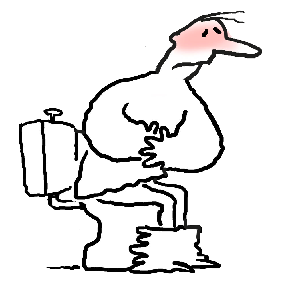 Durchfall - Aprioris - einfach gesund