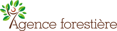 Agence Forestière, gestion de biens forestiers Ain, Jura