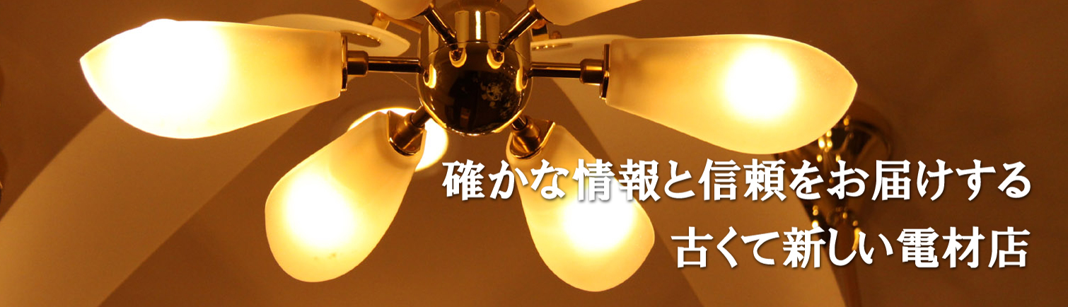 電材野郎 ネグロス電工 ワールドダクター溶融亜鉛 Z-D1 1本 215-7319