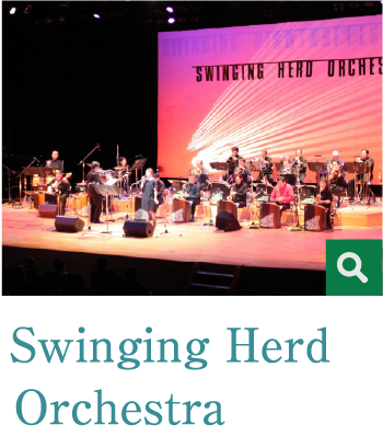 Swinging Herd Orchestra