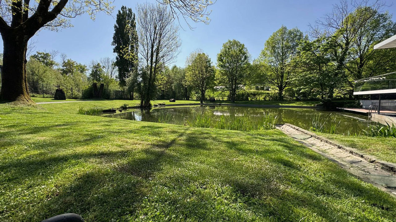 Gartenservice Stepien