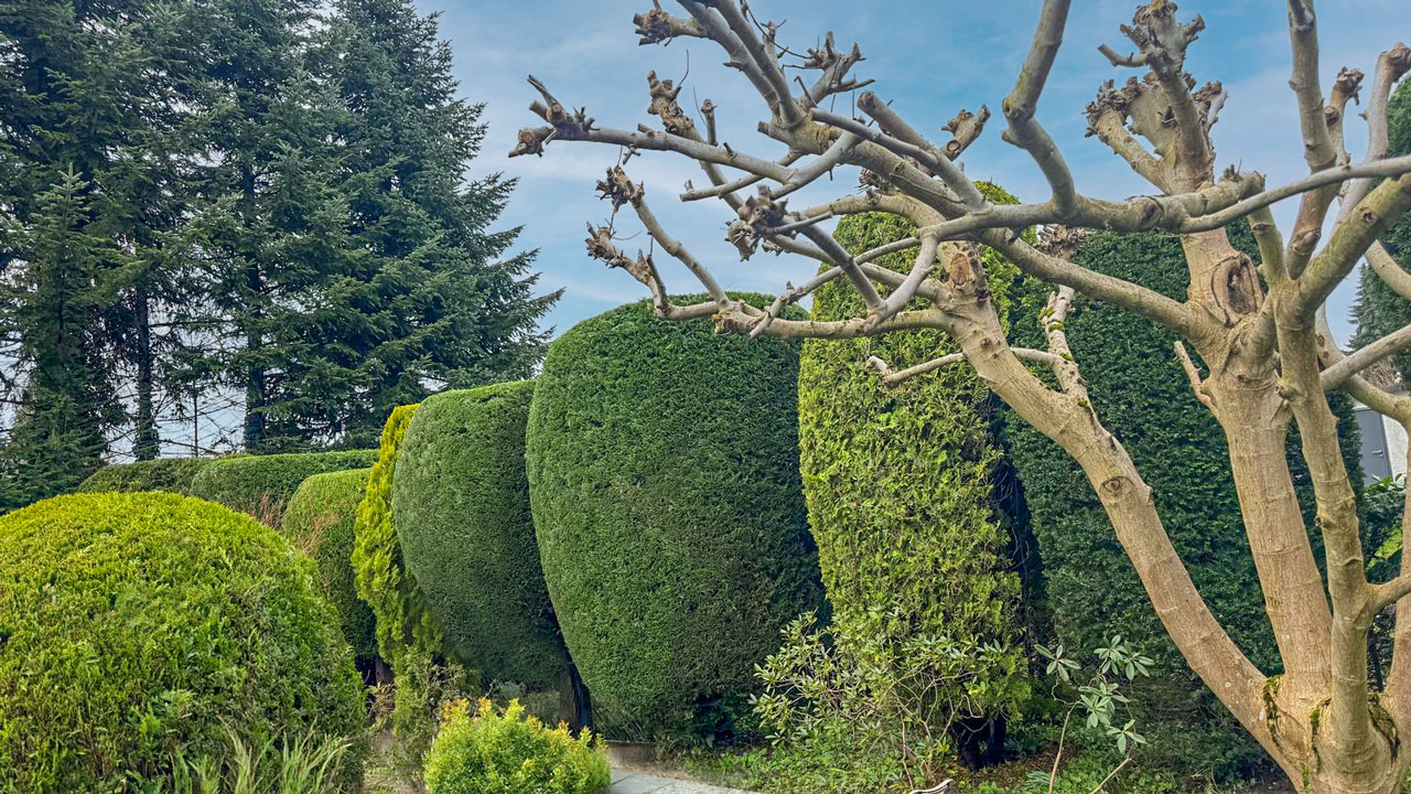 Gartenservice Stepien