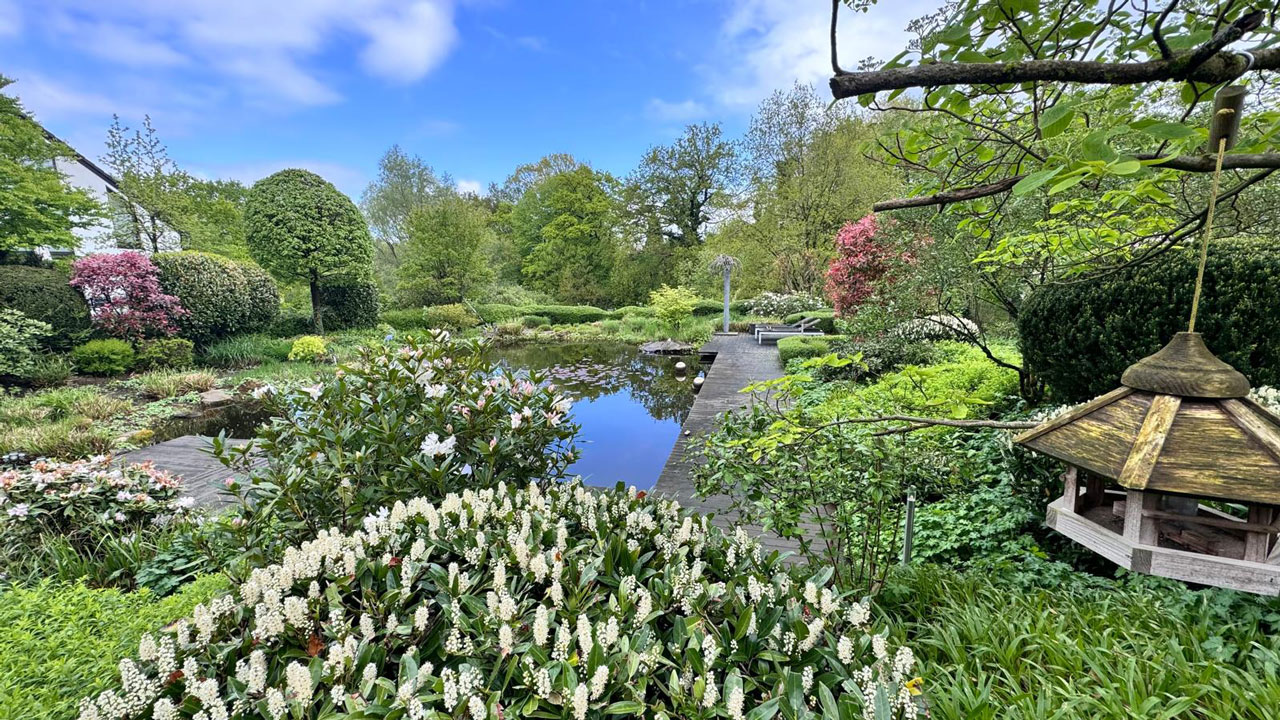 Gartenservice Stepien