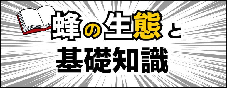 蜂の生態と基礎知識