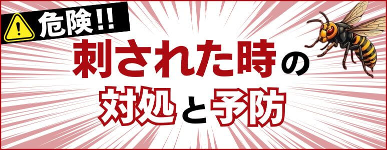危険！刺された時の対処と予防