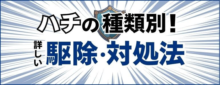 ハチの種類別！詳しい駆除・対処法