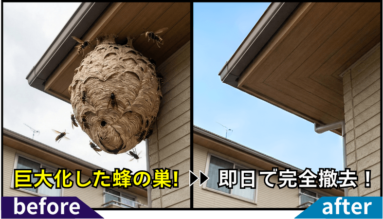 ハチ刺されで死亡リスク！アナフィラキシーショックが起こると最悪の場合心停止、死に至る可能性も！